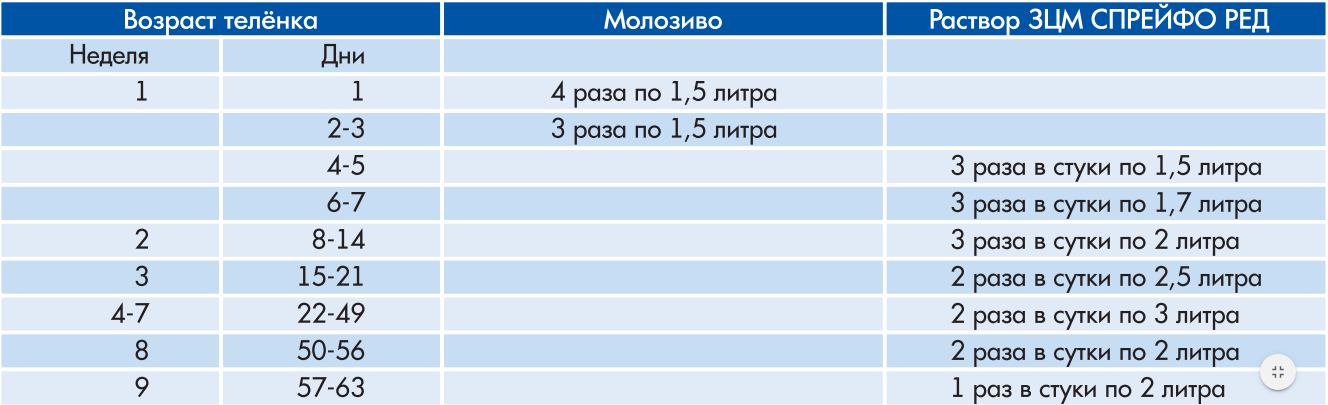 Сколько поить теленка молоком